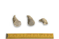 F 00106 01
<br/>
<br/>
<em></em>